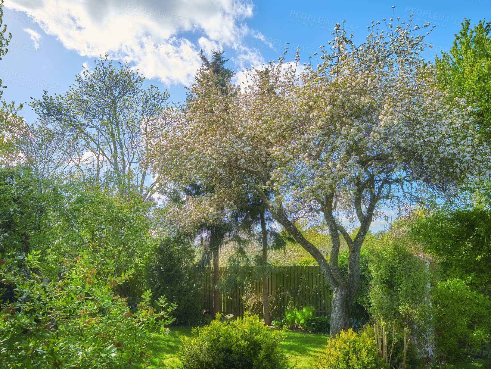 Buy stock photo A series of beautiful garden photos