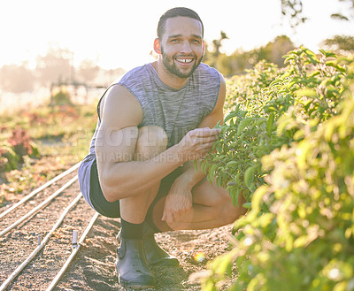 Buy stock photo Portrait, farm and man with plants, sunshine and smile for harvest, eco friendly and produce with sustainability. Face, person and happy guy with summer and agriculture with gardening and ecology