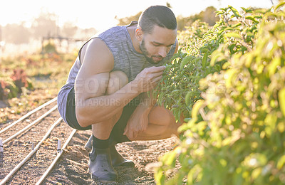 Buy stock photo Shot of a young man smelling plants in his garden