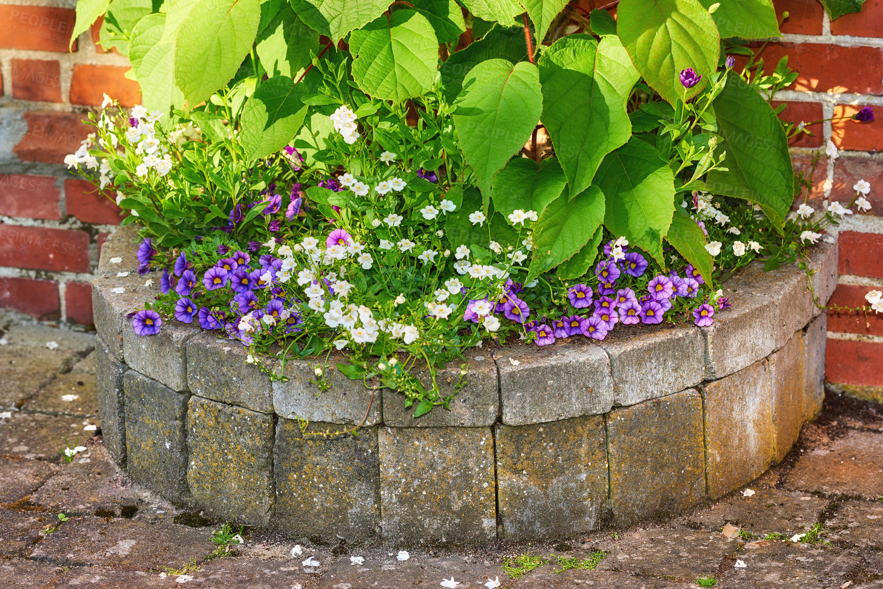 Buy stock photo A series of beautiful garden photos