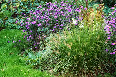 Buy stock photo A series of beautiful garden photos