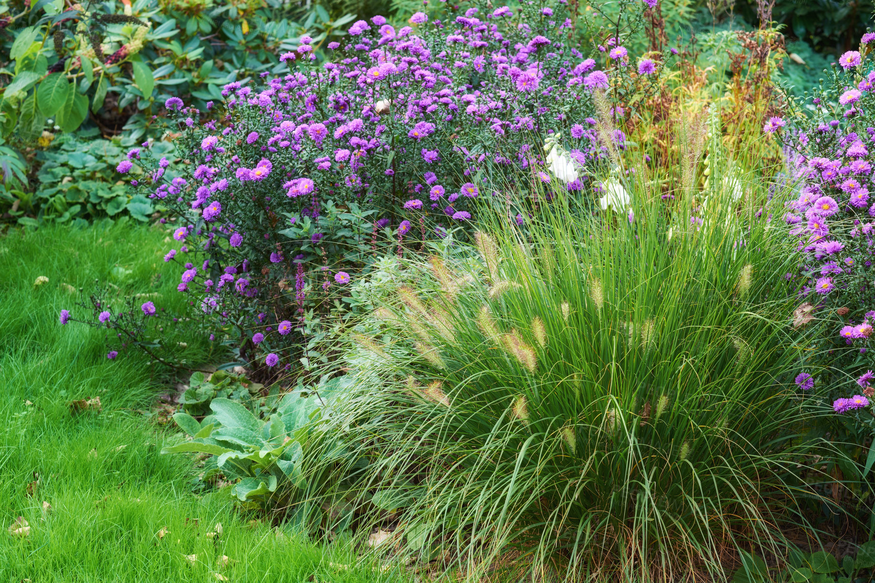 Buy stock photo A series of beautiful garden photos