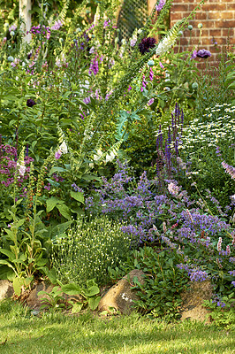 Buy stock photo A series of beautiful garden photos