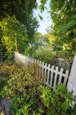 Buy stock photo A series of beautiful garden photos