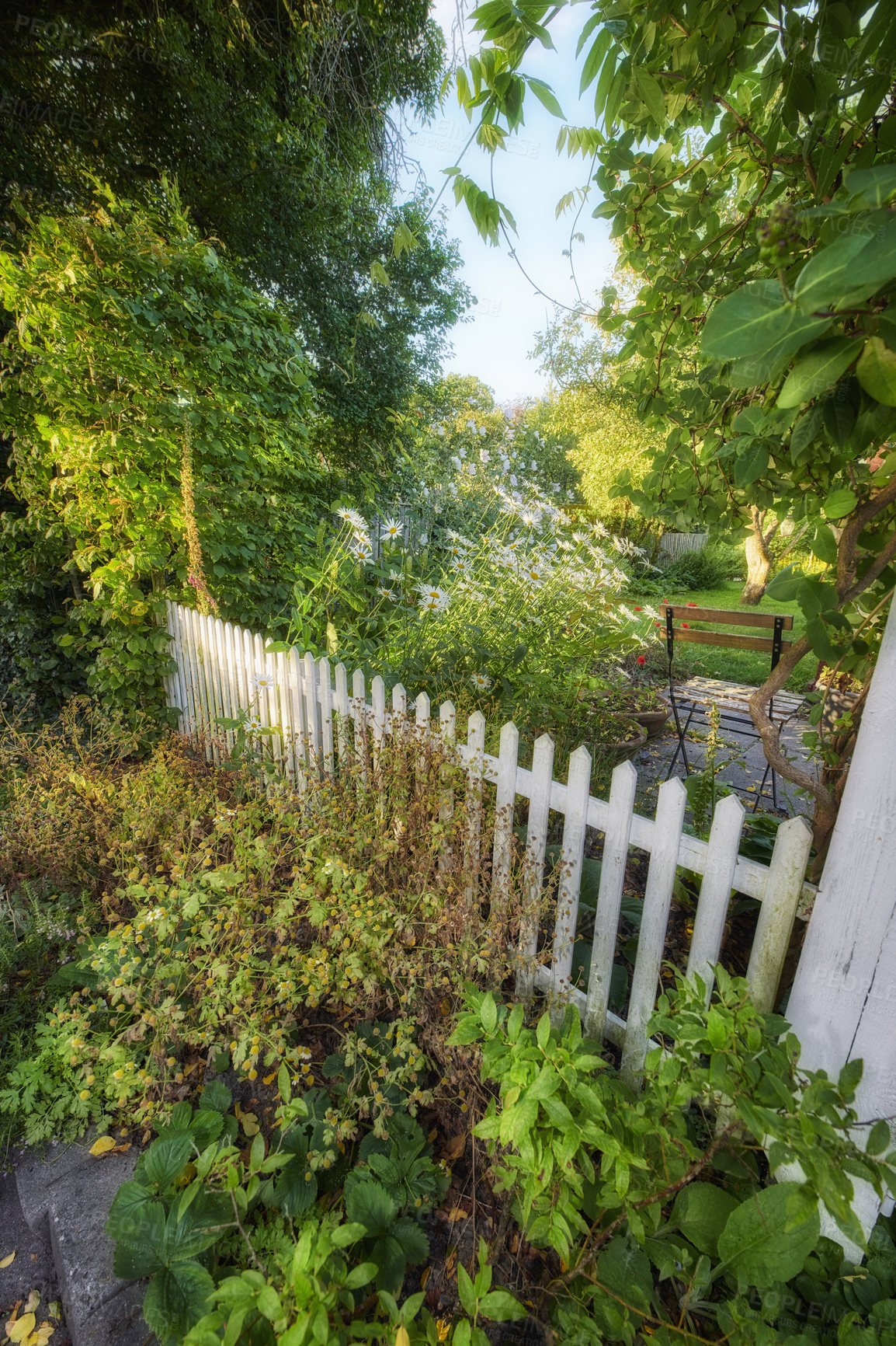 Buy stock photo A series of beautiful garden photos