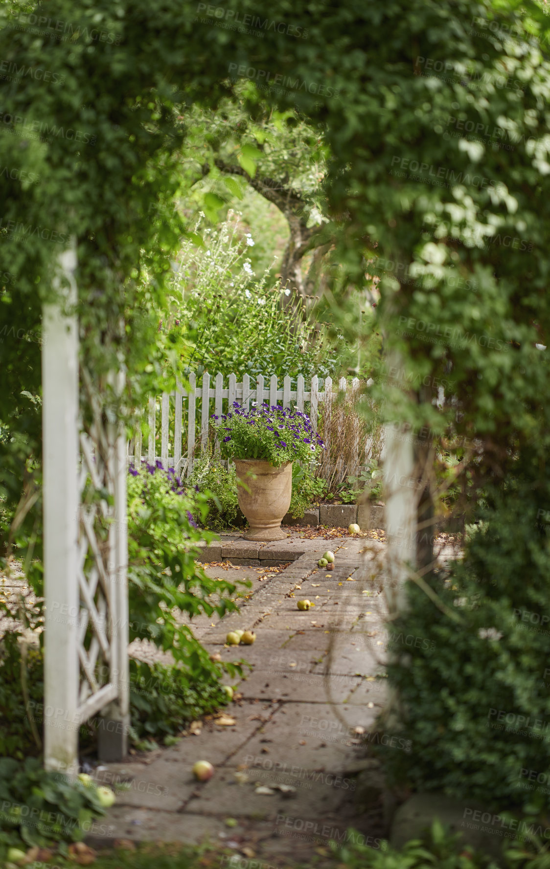 Buy stock photo The private spot of the Gardener - the beauty of garderning 