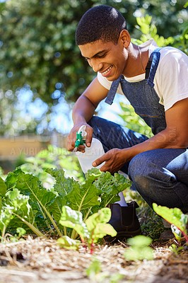 Buy stock photo Cropped shot of a handsome young man crouched in his garden and spraying his plant with water