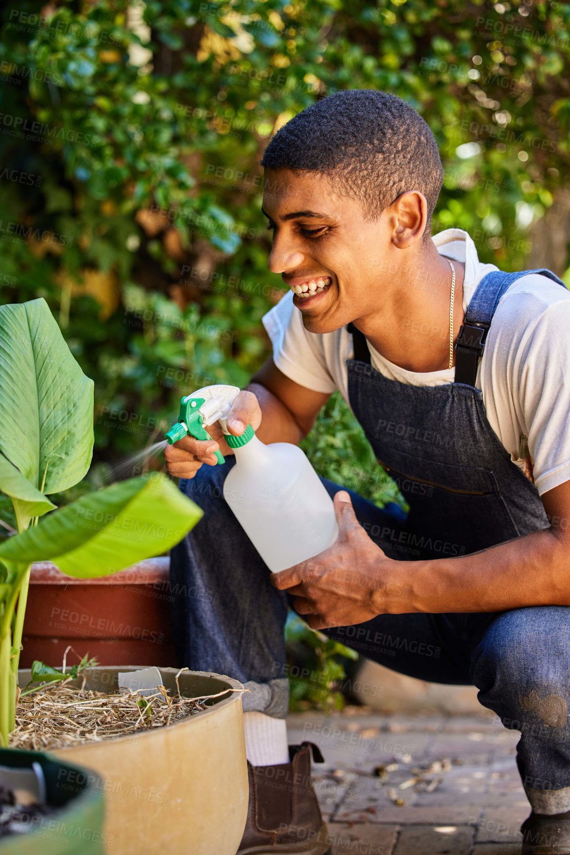 Buy stock photo Cropped shot of a handsome young man crouched in his garden and spraying his plant with water