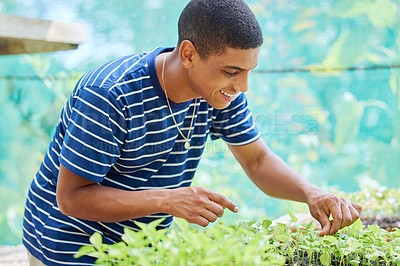 Buy stock photo Shot of a young man pruning his plants in his yard