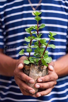Buy stock photo Cropped shot of a young man holding a pot plant