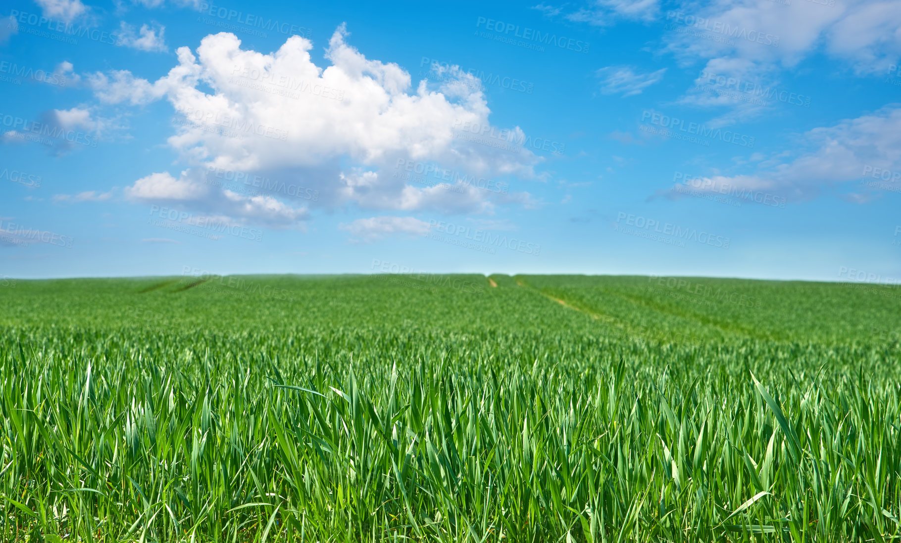 Buy stock photo Springtime  in the countryside