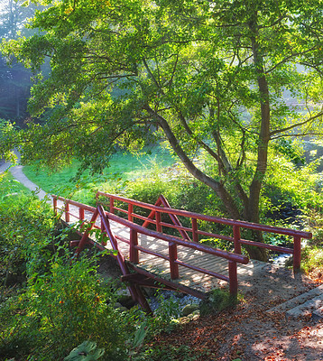 Buy stock photo A photo of a small bridge in the forest