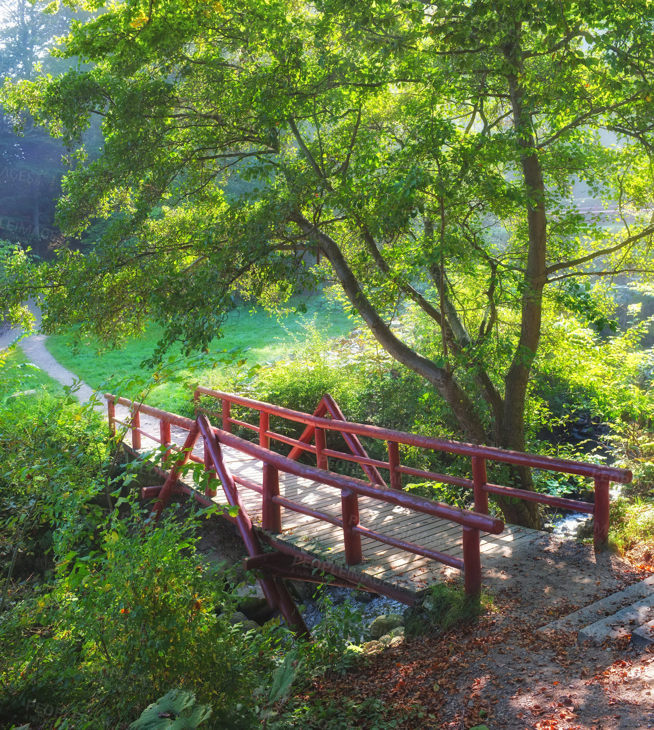 Buy stock photo A photo of a small bridge in the forest