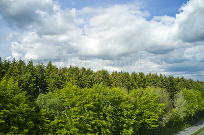 Buy stock photo Forest of trees under a cloudy blue sky along a narrow road. Beautiful day out in nature aside the living landscape, green. High view of surroundings under the clouds in the outdoors.