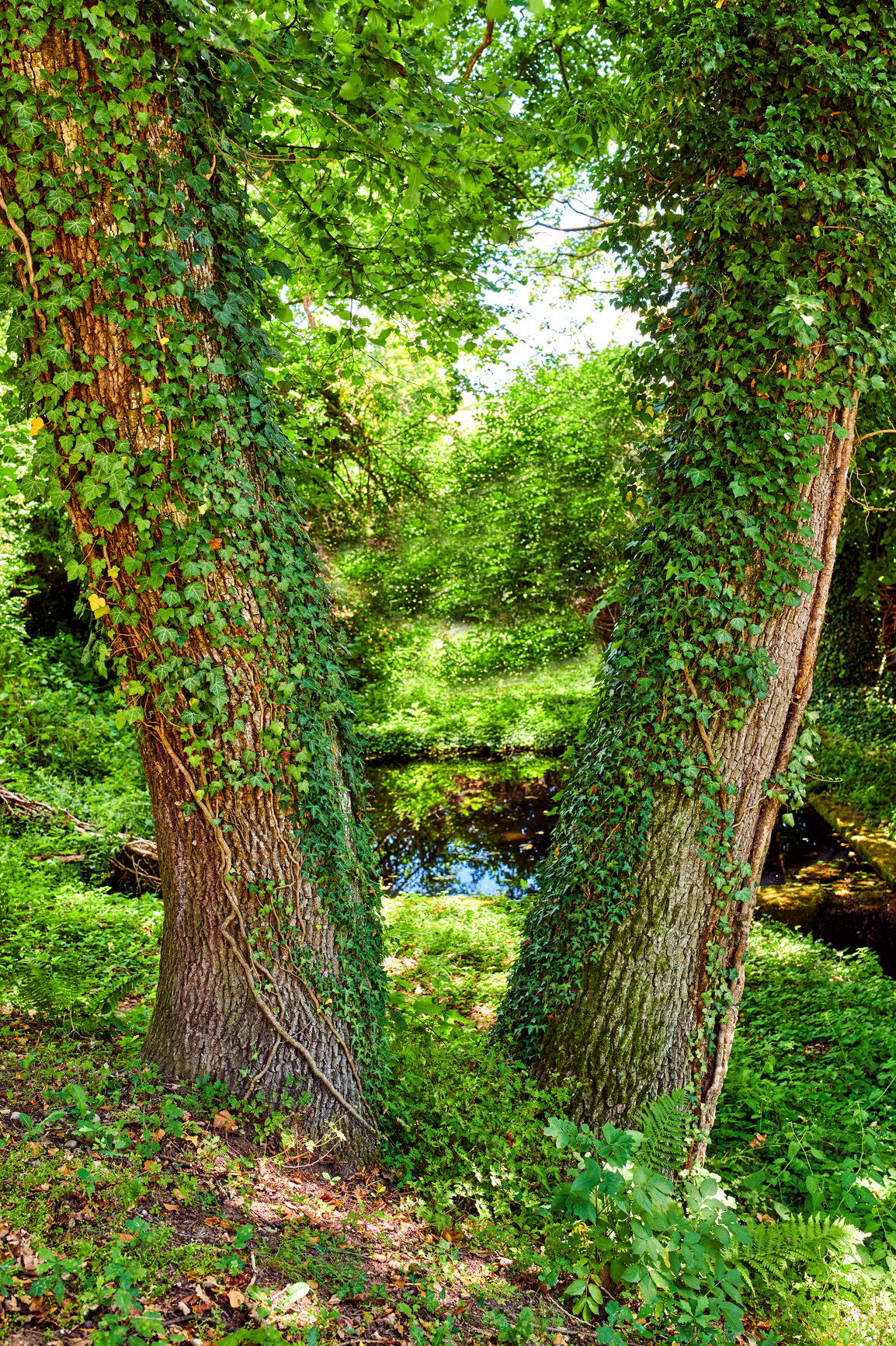 Buy stock photo A series of photos of countryside, farmland and forest close to Lyon, France