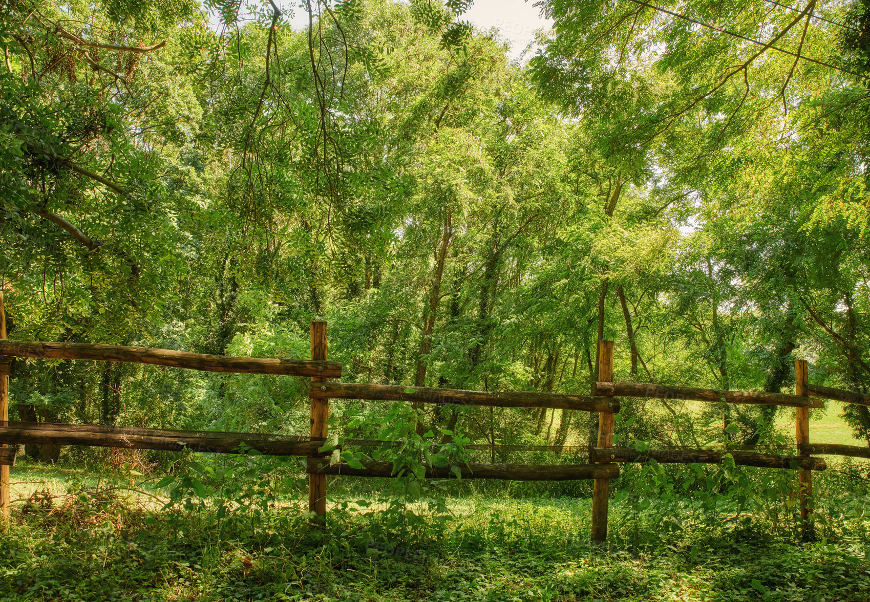 Buy stock photo A series of photos of countryside, farmland and forest close to Lyon, France