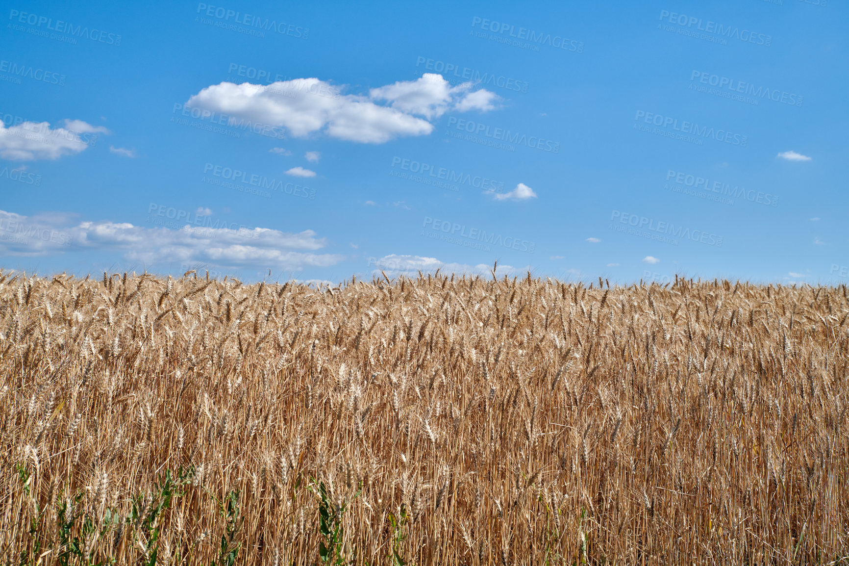 Buy stock photo A series of photos of countryside, farmland and forest close to Lyon, France