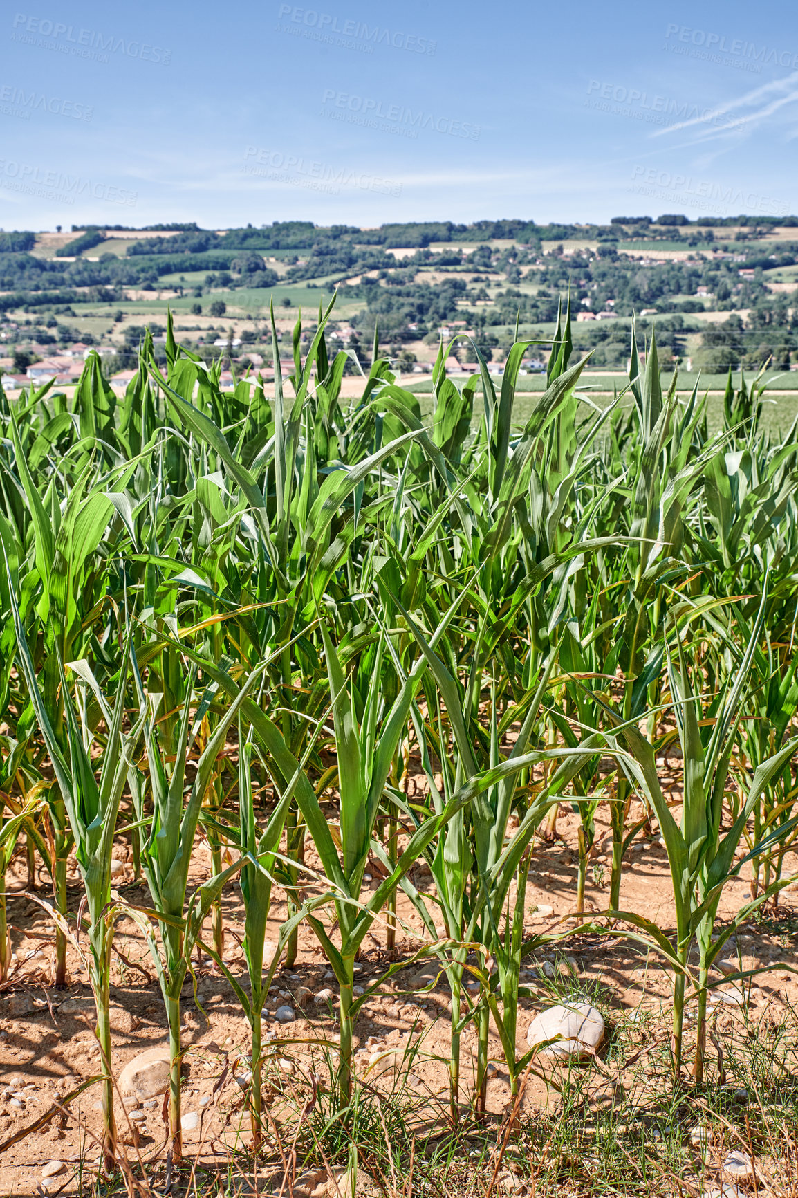 Buy stock photo A series of photos of countryside, farmland and forest close to Lyon, France