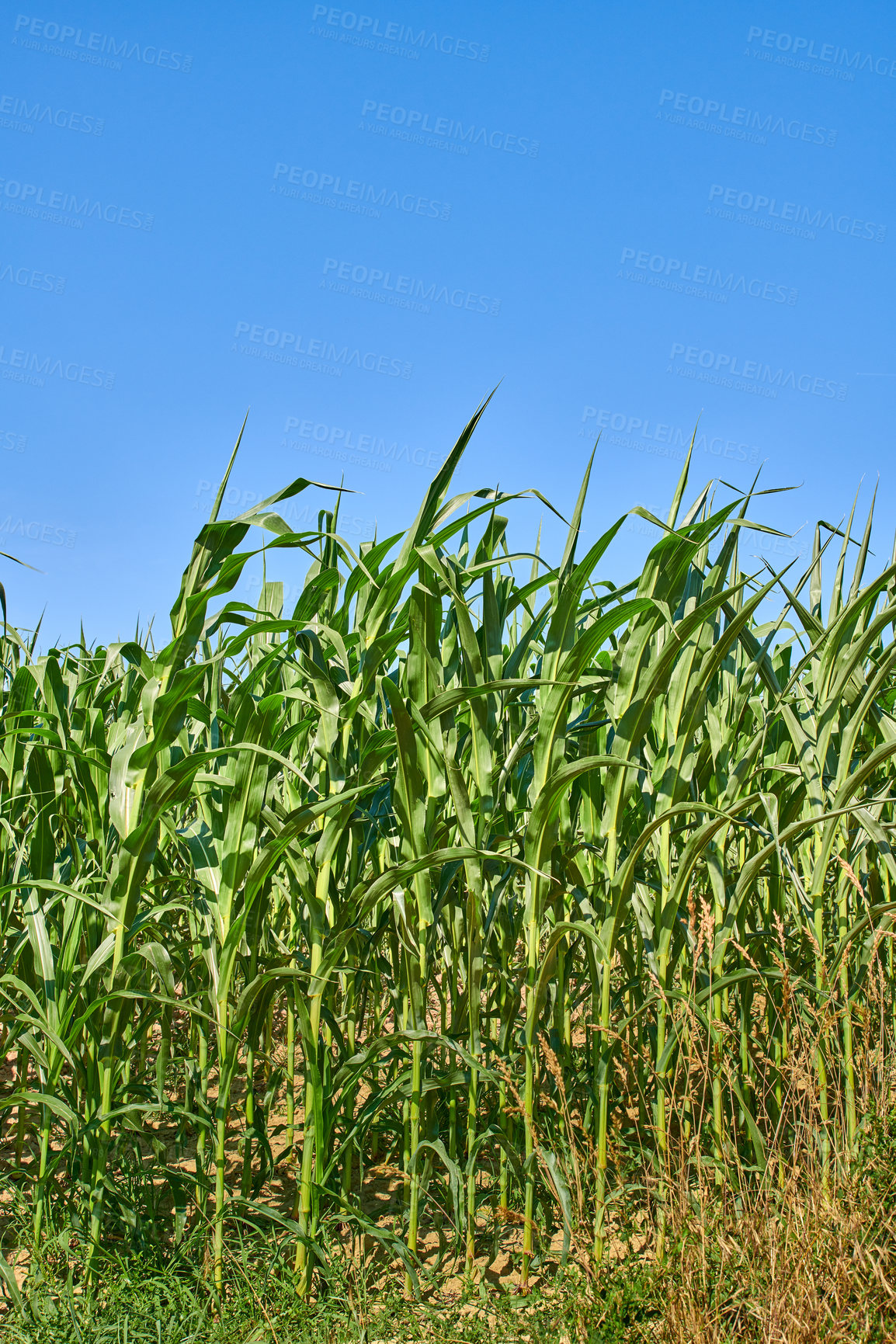 Buy stock photo A series of photos of countryside, farmland and forest close to Lyon, France