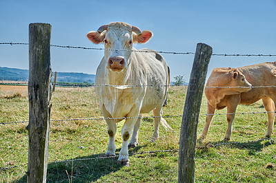 Countryside, farmland and forest - close to Lyon, France