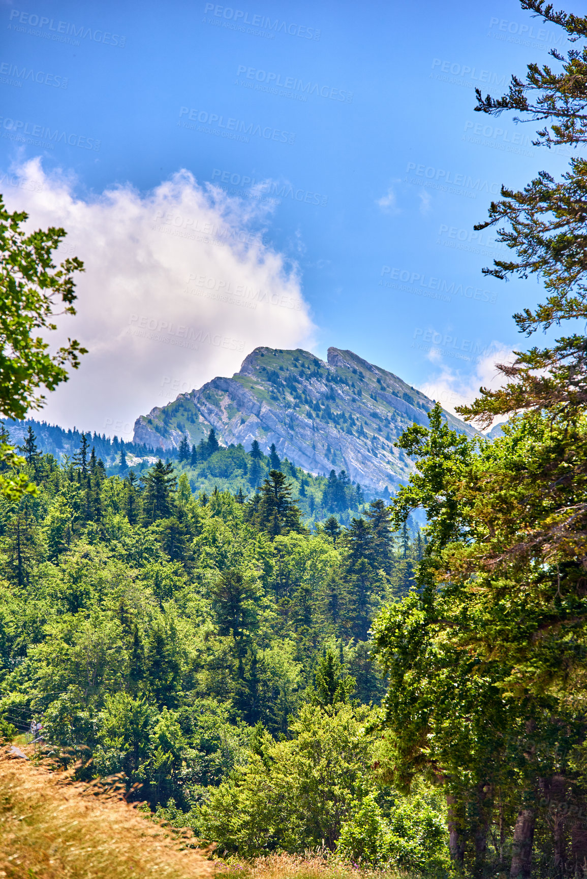 Buy stock photo A series of photos of countryside, farmland and forest close to Lyon, France