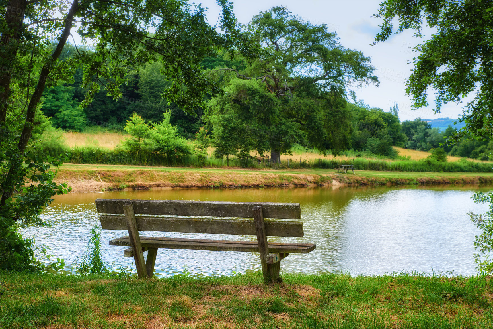 Buy stock photo Relaxing nature view of a park bench with trees, grass, and a lake in the background. A forest and field landscape in the countryside. Natural outdoor setting perfect for a summer's day outside.