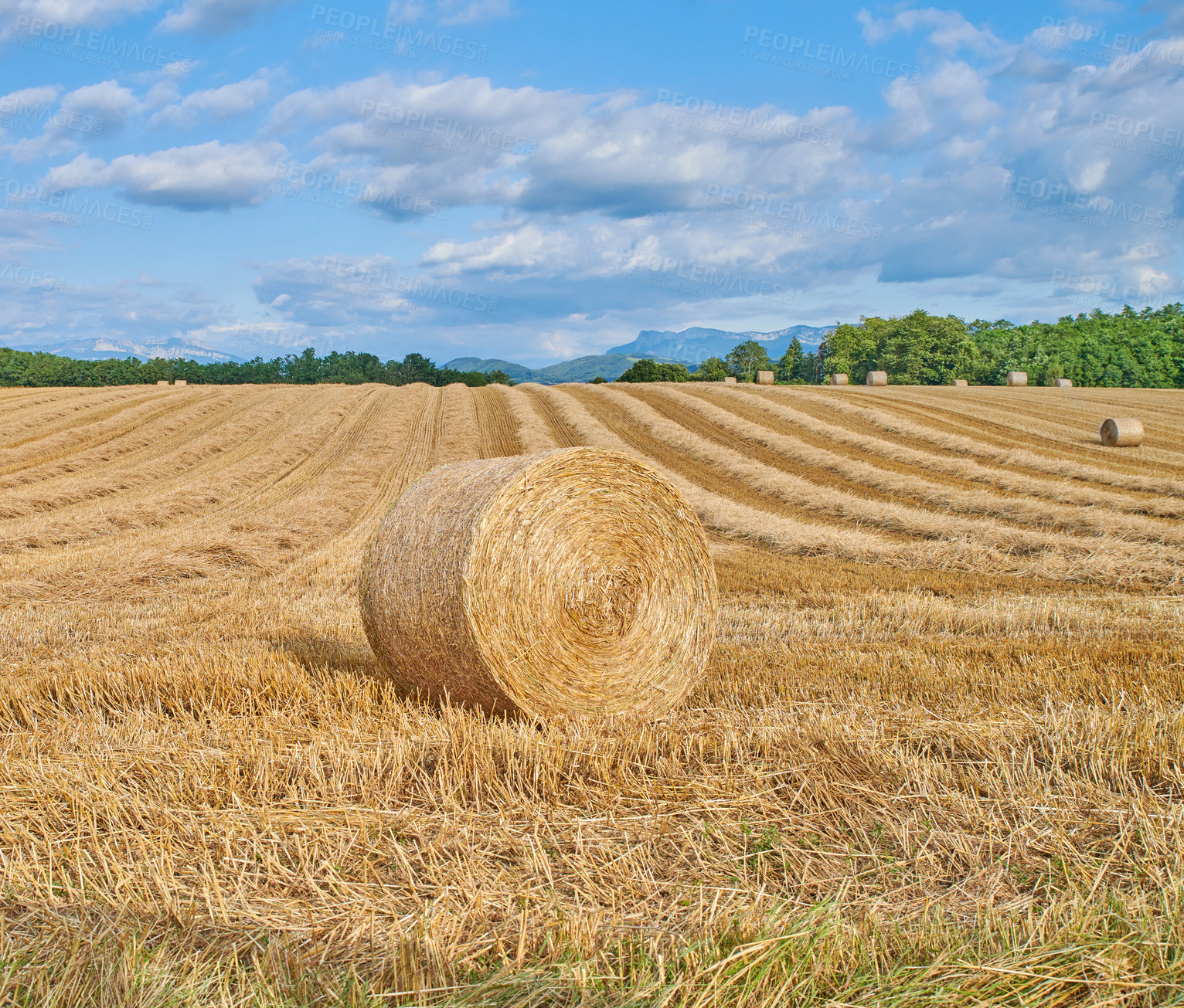 Buy stock photo A series of photos of countryside, farmland and forest close to Lyon, France