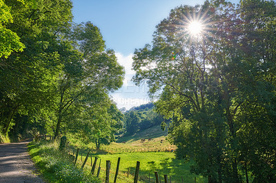 Buy stock photo Landscape view of the beautiful countryside in Lyon, France. Capturing the beauty of serene and tranquil french farmland and country road near the city. Travelling overseas in summer for scenic views