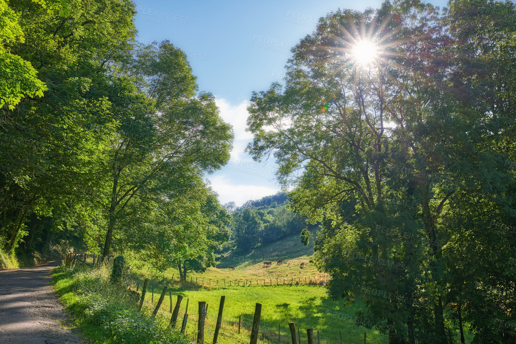 Buy stock photo Landscape view of the beautiful countryside in Lyon, France. Capturing the beauty of serene and tranquil french farmland and country road near the city. Travelling overseas in summer for scenic views