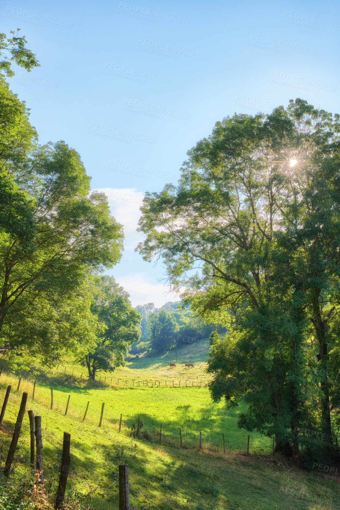 Buy stock photo A series of photos of countryside, farmland and forest close to Lyon, France