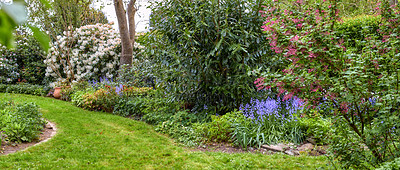 Buy stock photo Rhododendron is a genus of 1,024 species of woody plants in the heath family, either evergreen or deciduous, and found mainly in Asia, although it is also widespread throughout the Southern Highlands of the Appalachian Mountains of North America.