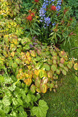Buy stock photo A series of beautiful garden photos