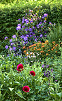 Rhododendron - garden flowers in May