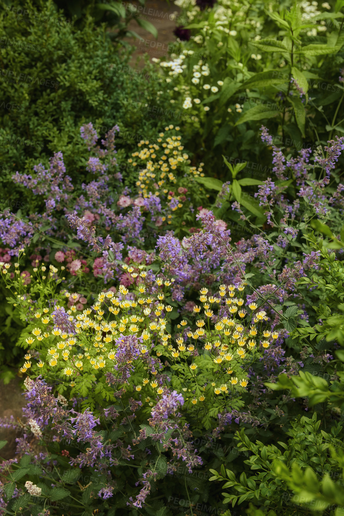 Buy stock photo A series of beautiful garden photos