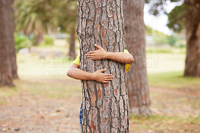 Buy stock photo Earth day, sustainability and child with a tree hug for eco friendly environment in a park in Taiwan. Recycle, ecology and kid hugging a trunk in nature for clean energy, love and sustainable woods