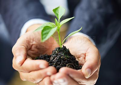 Buy stock photo Shot of an unrecognisable businessman holding a plant growing out of soil