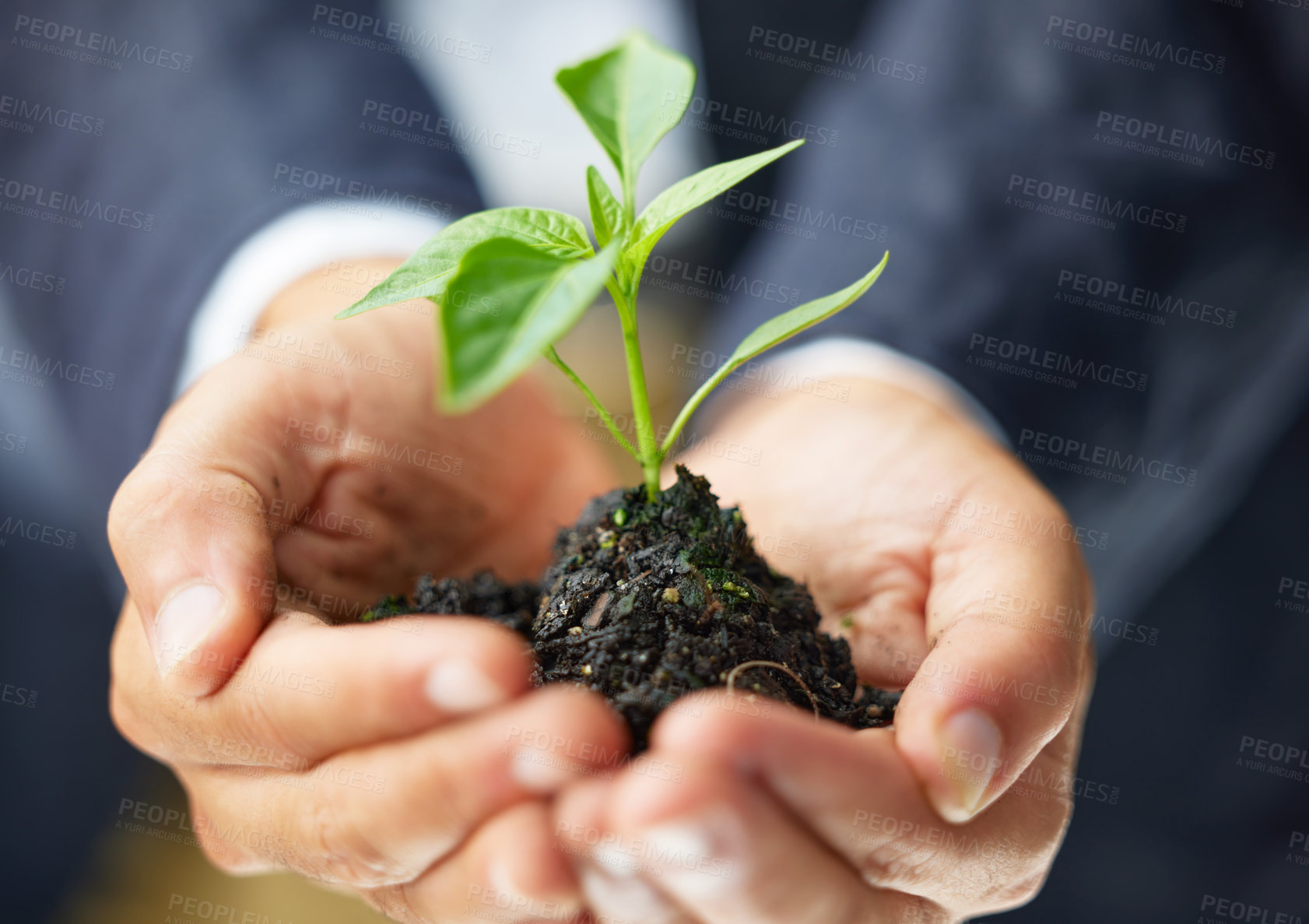 Buy stock photo Hands, soil and businessman with plant for investment, growth and economy, agro and startup development. Agriculture, sustainability and palm with leaf for hope, change or earth day accountability
