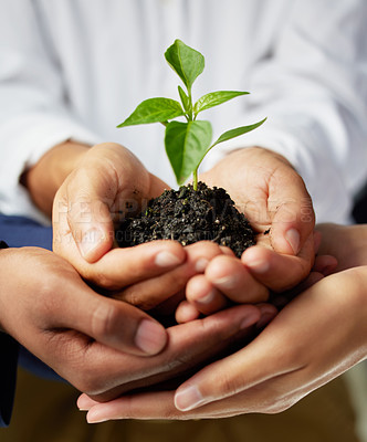 Buy stock photo Hands, soil and business people with plant for investment, growth or economy, agro and startup development. Agriculture, sustainability and palm with leaf for hope, change or earth day accountability