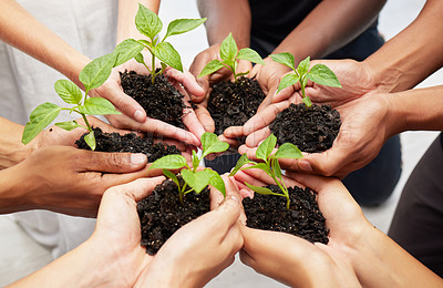 Buy stock photo Agriculture, earth day and hands with leaves and soil for community, collaboration or solidarity. Sustainability, ecology and top view of people holding plants for an organic green energy environment