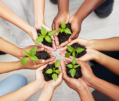Buy stock photo Shot of a diverse group of people holding seedlings to be planted