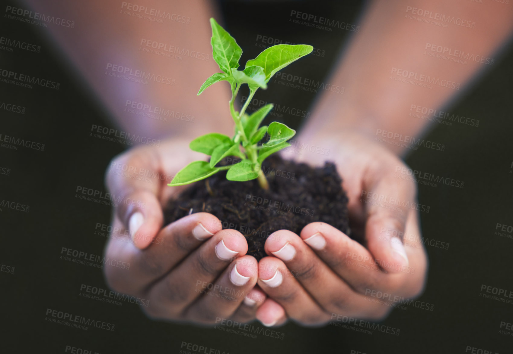 Buy stock photo Hands, seedling and soil with nature, growth and hope for sustainability and future. Person, environment and leaf for support, accountability and plant development or green energy with startup trust