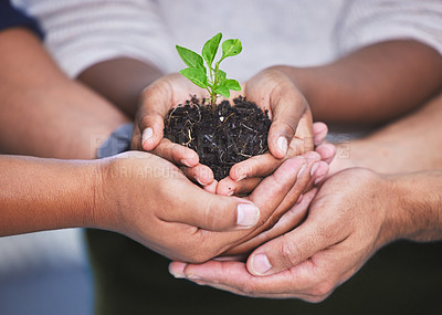 Buy stock photo Hands, plant and dirt with nature, growth and hope for sustainability and collaboration. People, environment and leaf for support, accountability and future development or green energy with startup