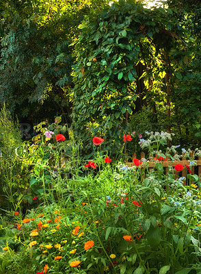 Buy stock photo A series of beautiful garden photos