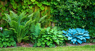 Buy stock photo A series of beautiful garden photos