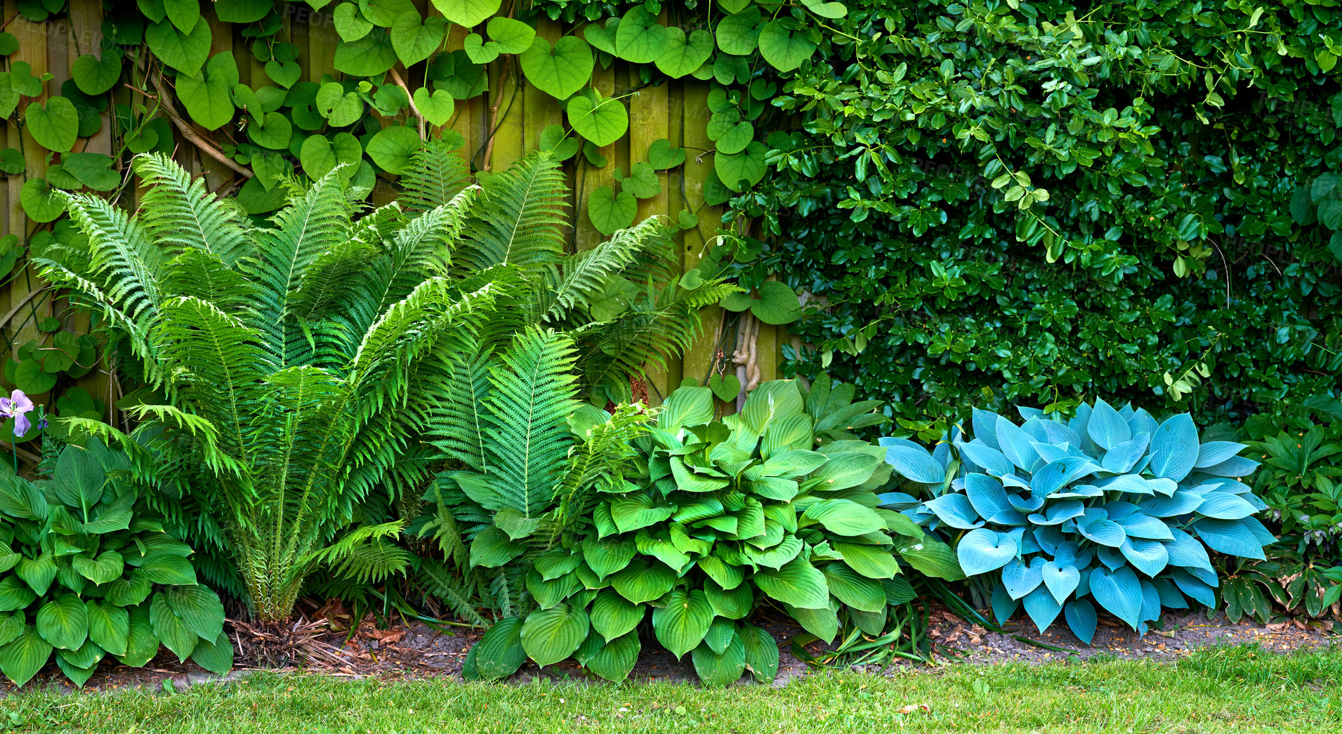 Buy stock photo A series of beautiful garden photos