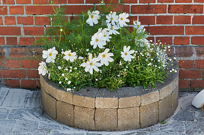 Buy stock photo A series of beautiful garden photos