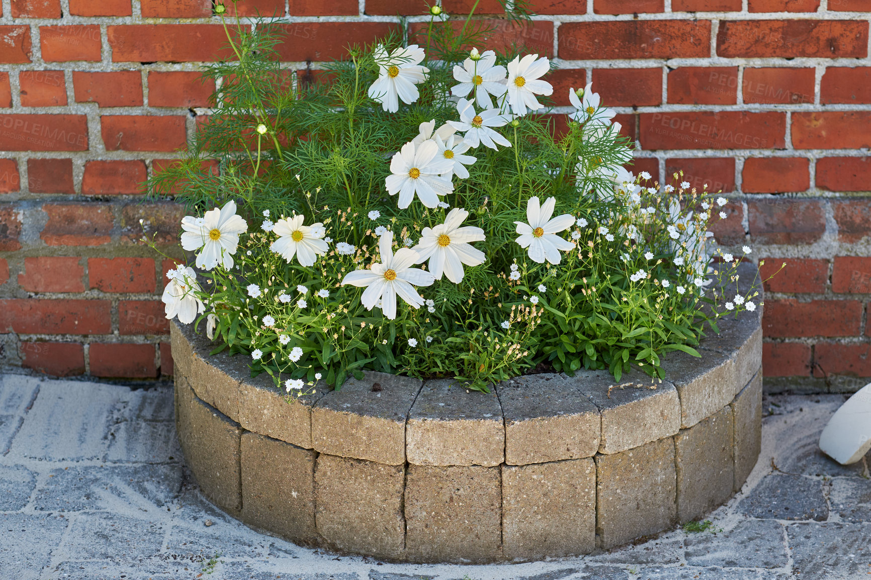 Buy stock photo A series of beautiful garden photos