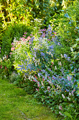 Buy stock photo A series of beautiful garden photos