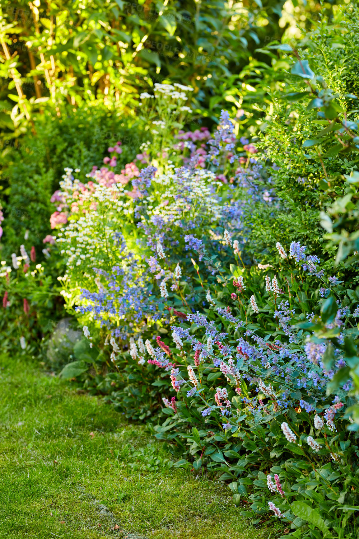 Buy stock photo A series of beautiful garden photos