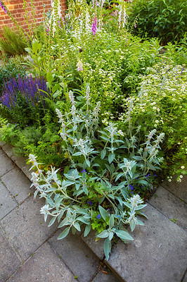 Buy stock photo A series of beautiful garden photos